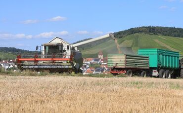 Getreideernte im Kreis