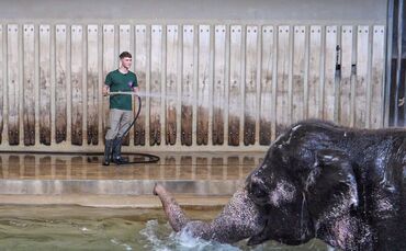 KW 11a Maßvolle Corona-Lockerungen in der Wilhelma 18.03.2022 Bild 3