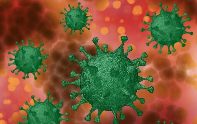 Coronavirus, Covid. SARS-Cov-2