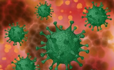 Coronavirus, Covid. SARS-Cov-2
