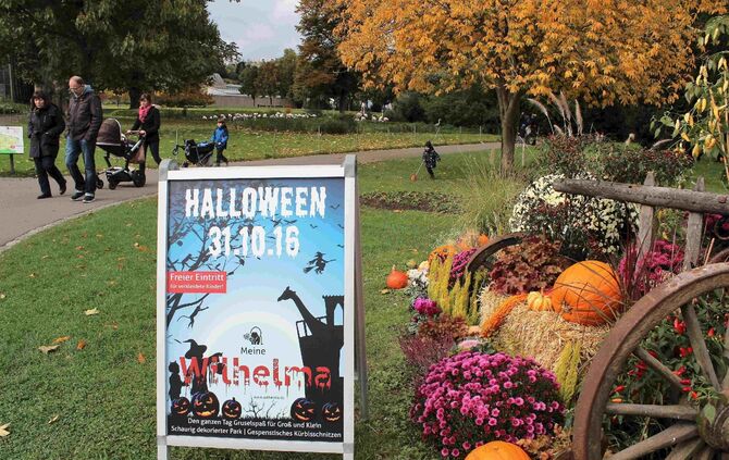 Halloween in Wilhelma_1