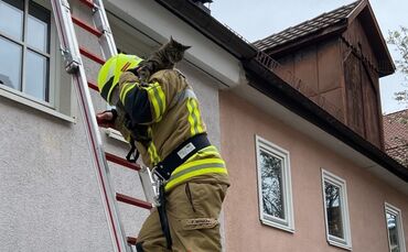 Katzenrettung in Kernen