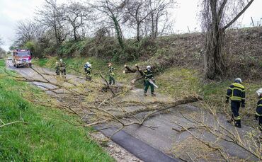 Weinstadt-Beutelsbach: Mehrere Baeume versperren die Strasse zum Schoenbuehl