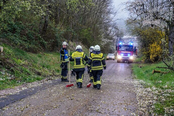 Weinstadt-Beutelsbach: Mehrere Baeume versperren die Strasse zum Schoenbuehl