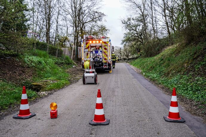 Weinstadt-Beutelsbach: Mehrere Baeume versperren die Strasse zum Schoenbuehl