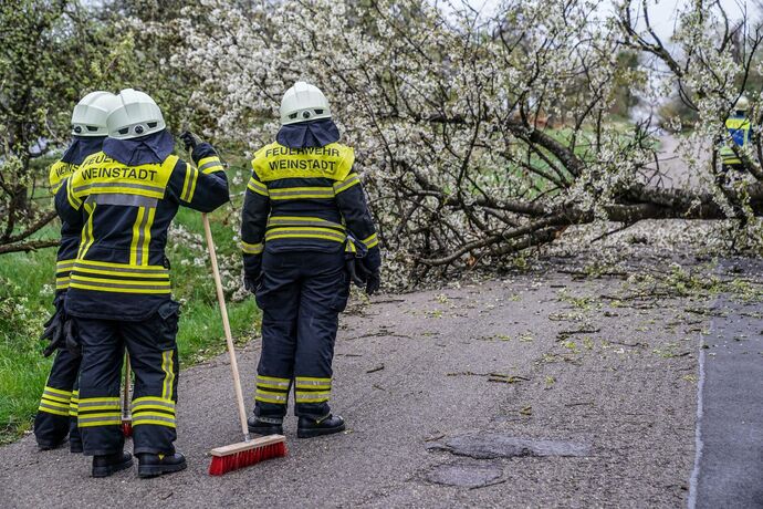 Weinstadt-Beutelsbach: Mehrere Baeume versperren die Strasse zum Schoenbuehl