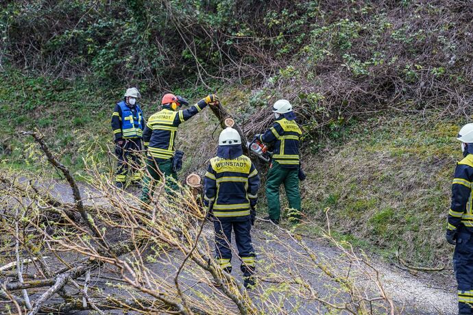 Weinstadt-Beutelsbach: Mehrere Baeume versperren die Strasse zum Schoenbuehl