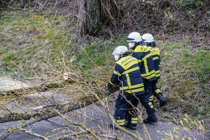 Weinstadt-Beutelsbach: Mehrere Baeume versperren die Strasse zum Schoenbuehl