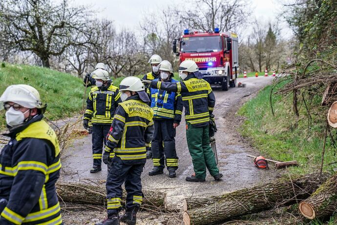 Weinstadt-Beutelsbach: Mehrere Baeume versperren die Strasse zum Schoenbuehl