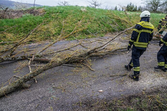 Weinstadt-Beutelsbach: Mehrere Baeume versperren die Strasse zum Schoenbuehl