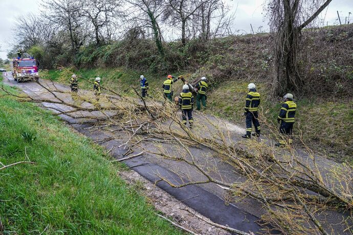 Weinstadt-Beutelsbach: Mehrere Baeume versperren die Strasse zum Schoenbuehl