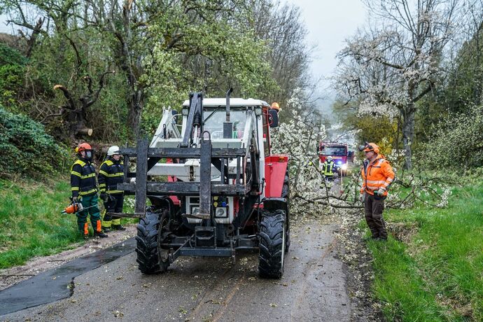 Weinstadt-Beutelsbach: Mehrere Baeume versperren die Strasse zum Schoenbuehl