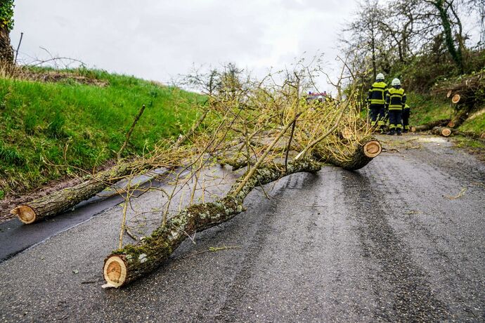 Weinstadt-Beutelsbach: Mehrere Baeume versperren die Strasse zum Schoenbuehl
