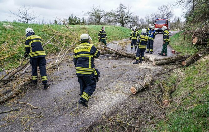 Weinstadt-Beutelsbach: Mehrere Baeume versperren die Strasse zum Schoenbuehl
