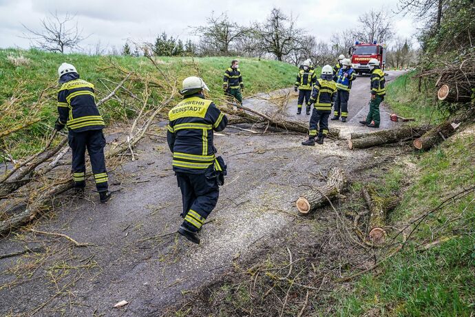 Weinstadt-Beutelsbach: Mehrere Baeume versperren die Strasse zum Schoenbuehl