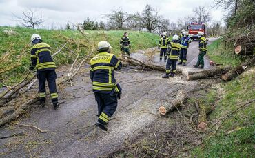 Weinstadt-Beutelsbach: Mehrere Baeume versperren die Strasse zum Schoenbuehl