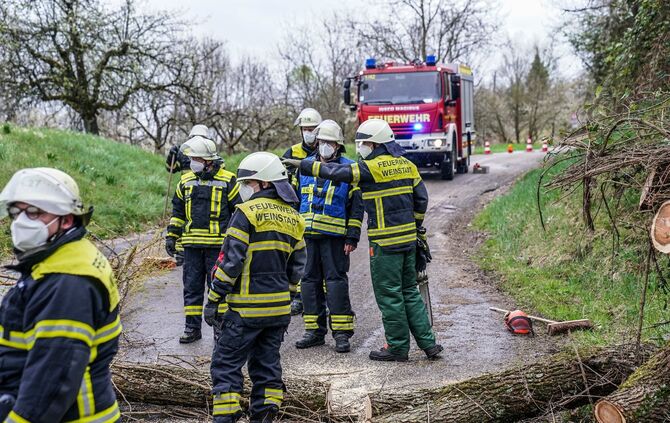 Weinstadt-Beutelsbach: Mehrere Baeume versperren die Strasse zum Schoenbuehl