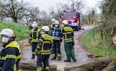 Weinstadt-Beutelsbach: Mehrere Baeume versperren die Strasse zum Schoenbuehl