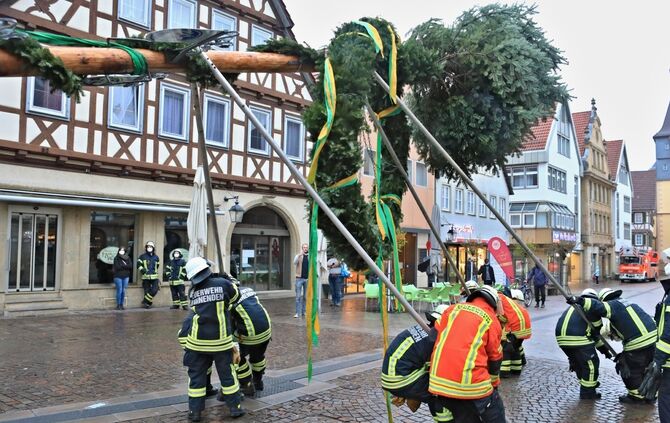 Maibaum 8
