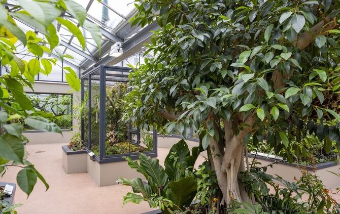 Der Neubau für Kleinsäuger, Vögel und Insektivoren in der Wilhelma ist fertig.
