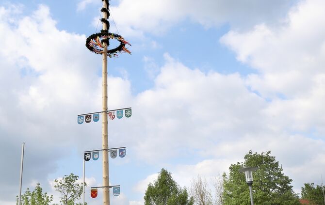 Maibaummiedels