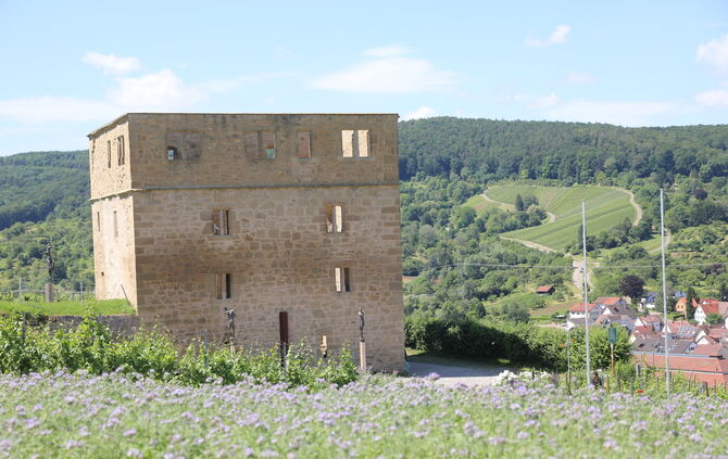 Y-Burg