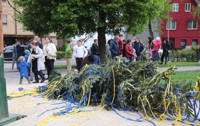 Maibaum Sturz Korb