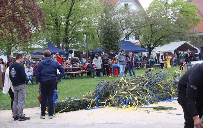 Maibaum Sturz Korb
