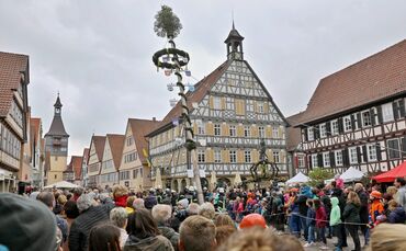 Maibaum-Aufstellung