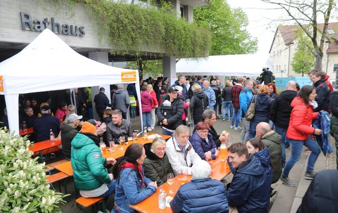 Maibaumfest