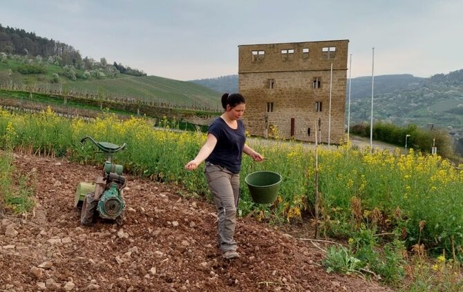 Peace-Zeichen in Stetten
