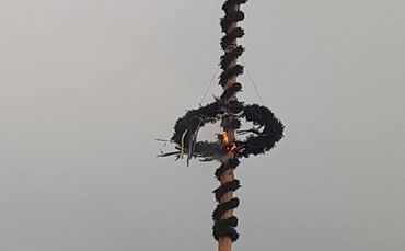 Maibaum