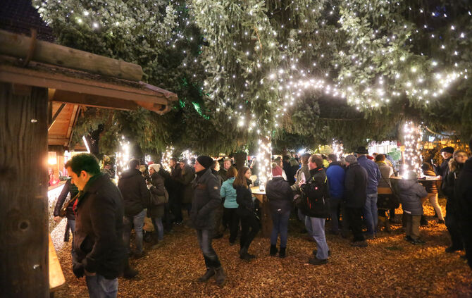 RudersbergAdventswald1711K278