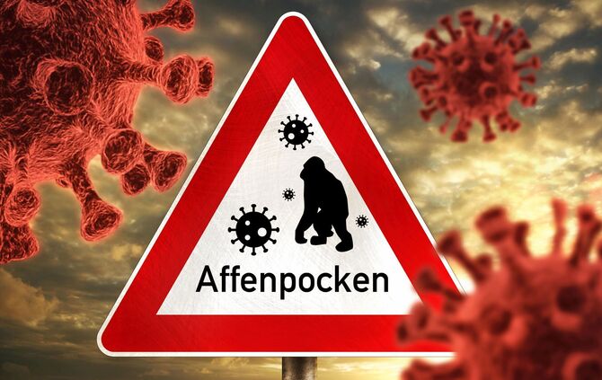 Warnschild mit Aufschrift Affenpocken, Affen Pocken FOTOMONTAGE