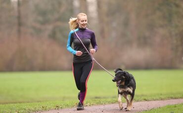 Gutes Zeichen: Der Hund läuft fröhlich voraus.