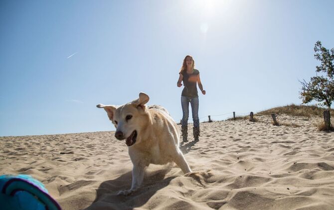 Immer zusammen: Urlaub mit Hund ist wunderbar.