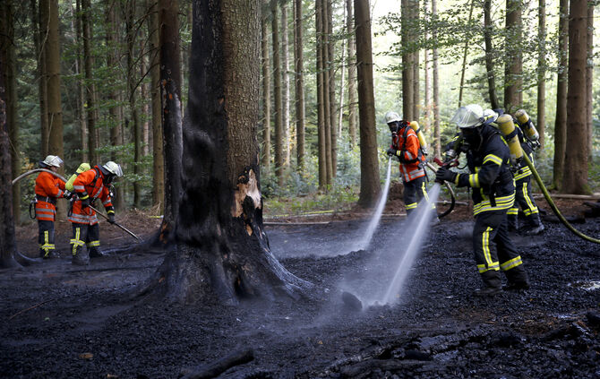 Waldbrand