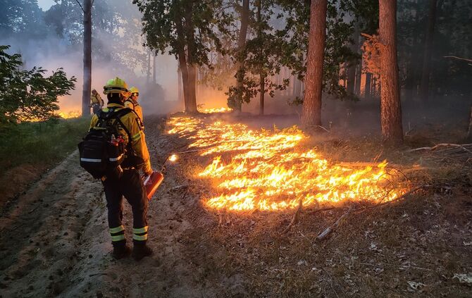 Waldbrand Brandenburg