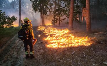 Waldbrand Brandenburg