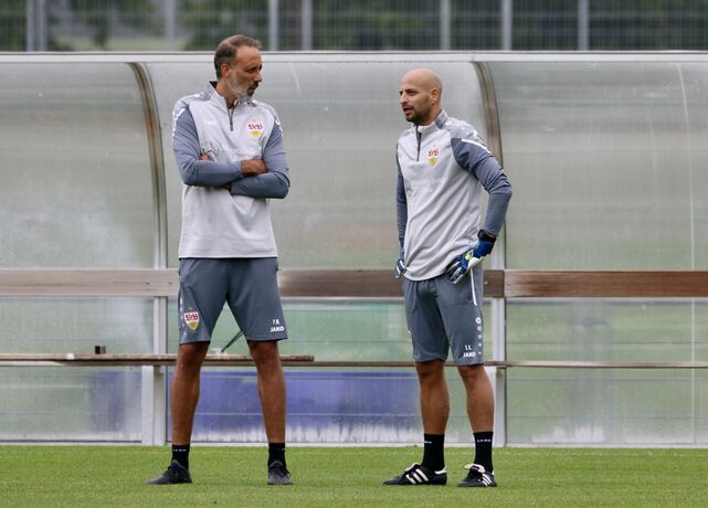 Pellegrino Matarazzo und Steffen Krebs
