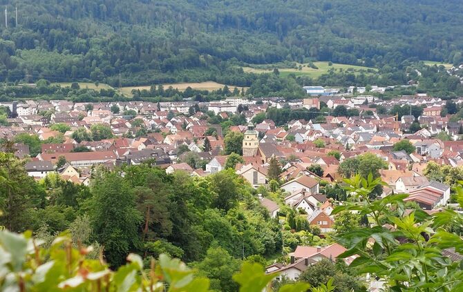 Spittelberg