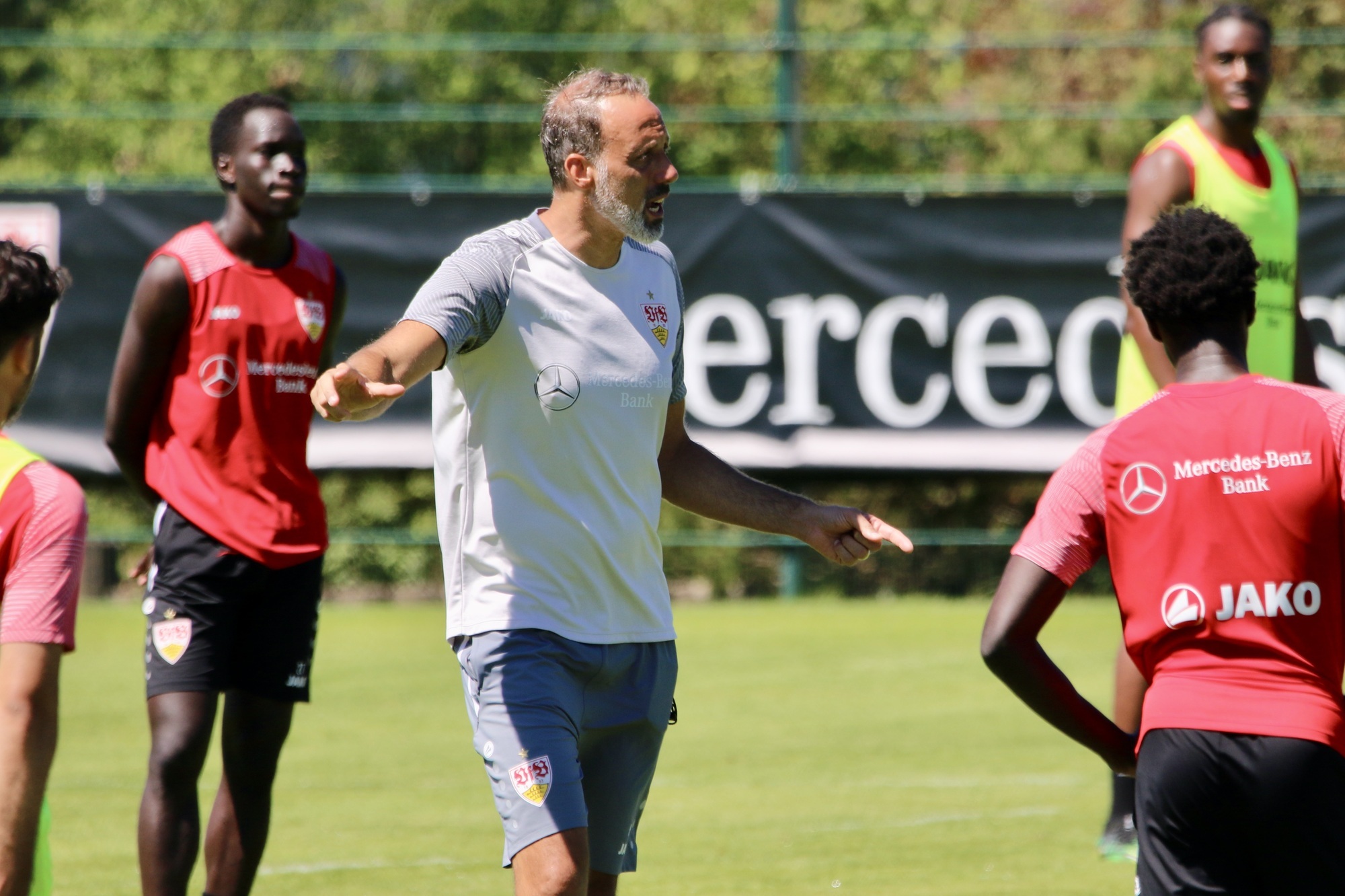 Kader des VfB Stuttgart: Auf dieses Fundament baut Trainer Pellegrino  Matarazzo - VfB Stuttgart - Zeitungsverlag Waiblingen