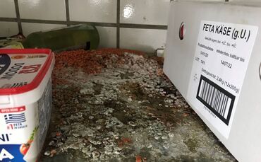 Schmutziges Regal Kühlzelle