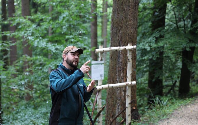 Schorndorf Waldführung