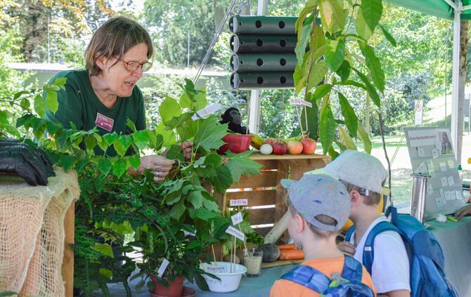 Die vielfältige Verwertung tropischer Nutzpflanzen ist am Aktionsstand kennen zu lernen.