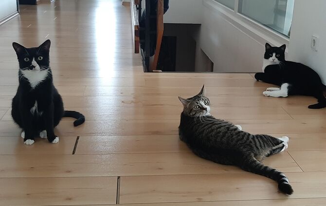 missing_title_1660208161