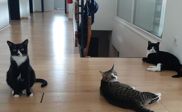 missing_title_1660208161