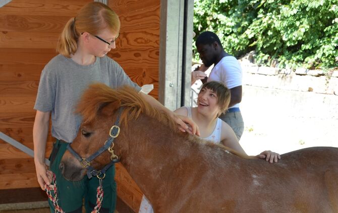 Pferdehof am Schlossberg