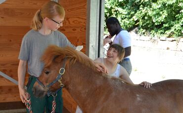 Pferdehof am Schlossberg
