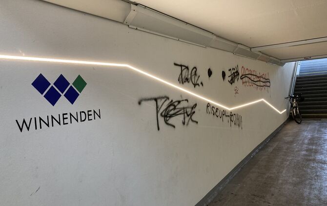 Schmierfinken